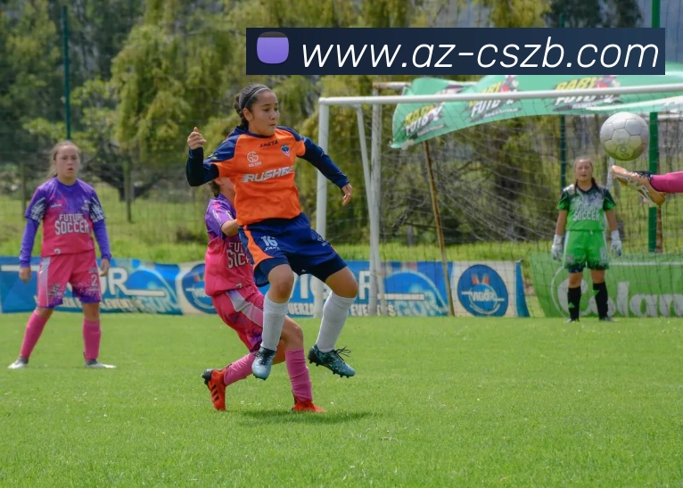 彩神争霸服务体系